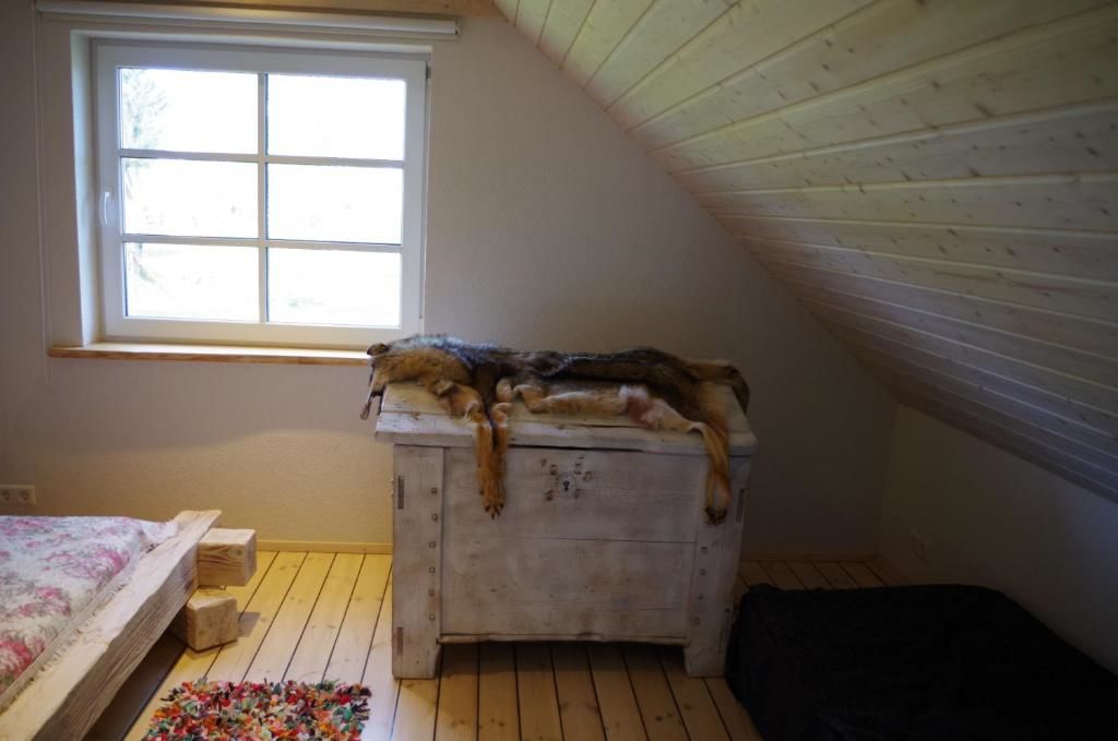 Дома для отпуска Ööbiku Holiday House Antsla-38