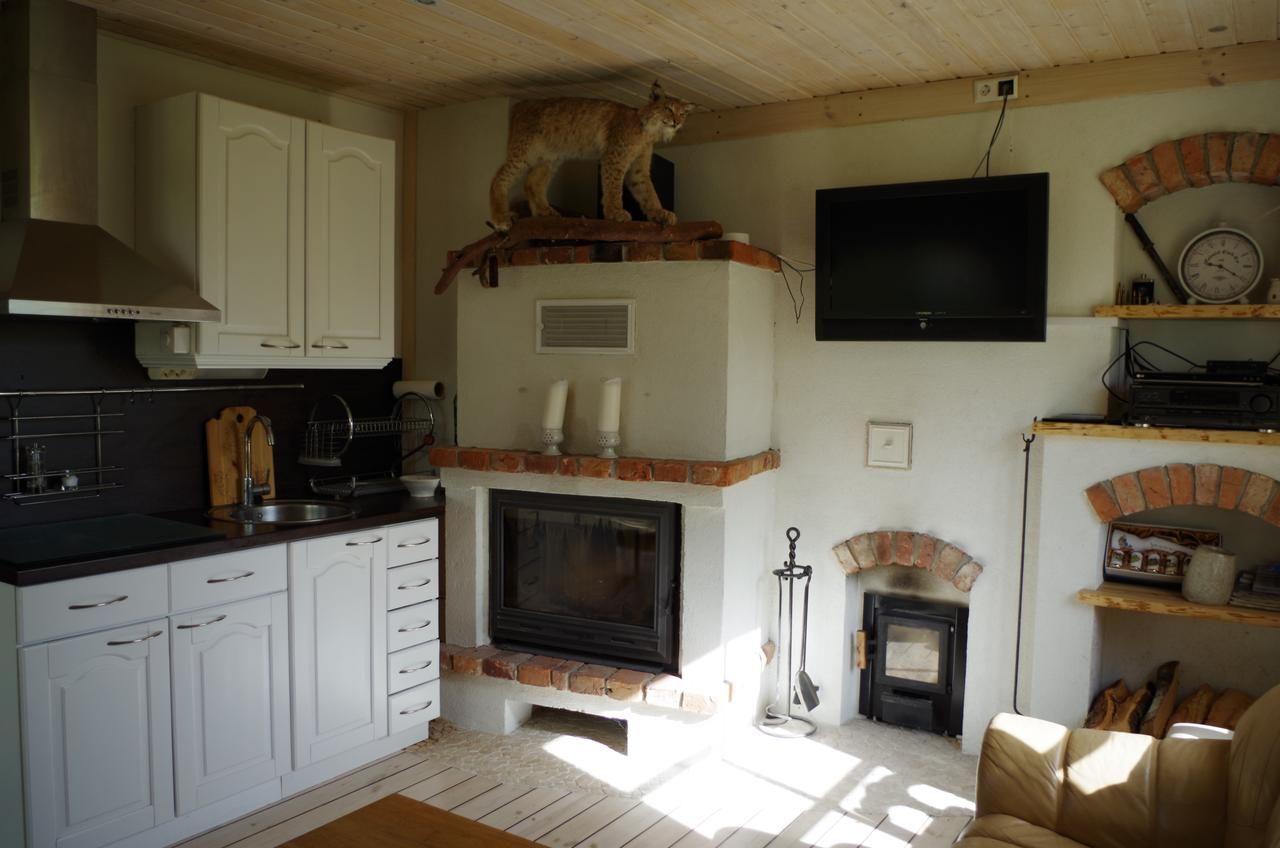 Дома для отпуска Ööbiku Holiday House Antsla-7